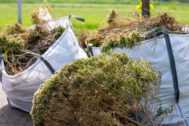 Best Junk Hauling Services  in Byrnes Mill, MO